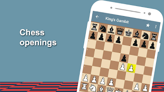 Chess Coach Screenshot7