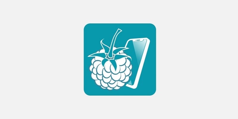 RaspController APK
