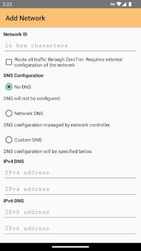 ZeroTier One Screenshot2