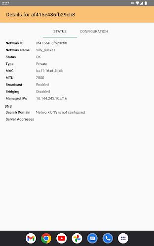 ZeroTier One Screenshot6