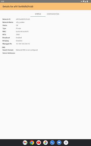 ZeroTier One Screenshot9