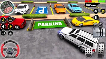 Prado Parking Game Screenshot6