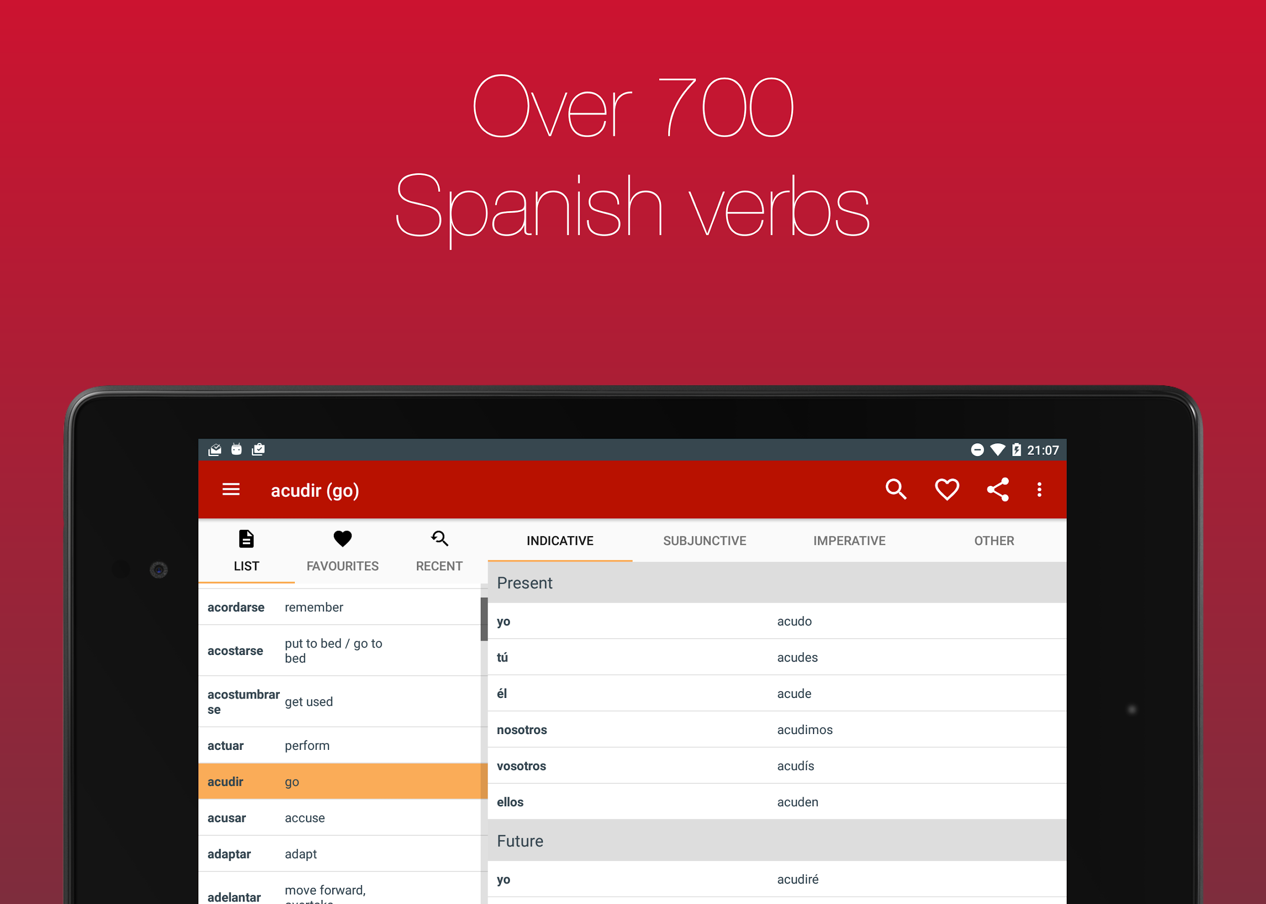 Spanish Verb Conjugator Screenshot7