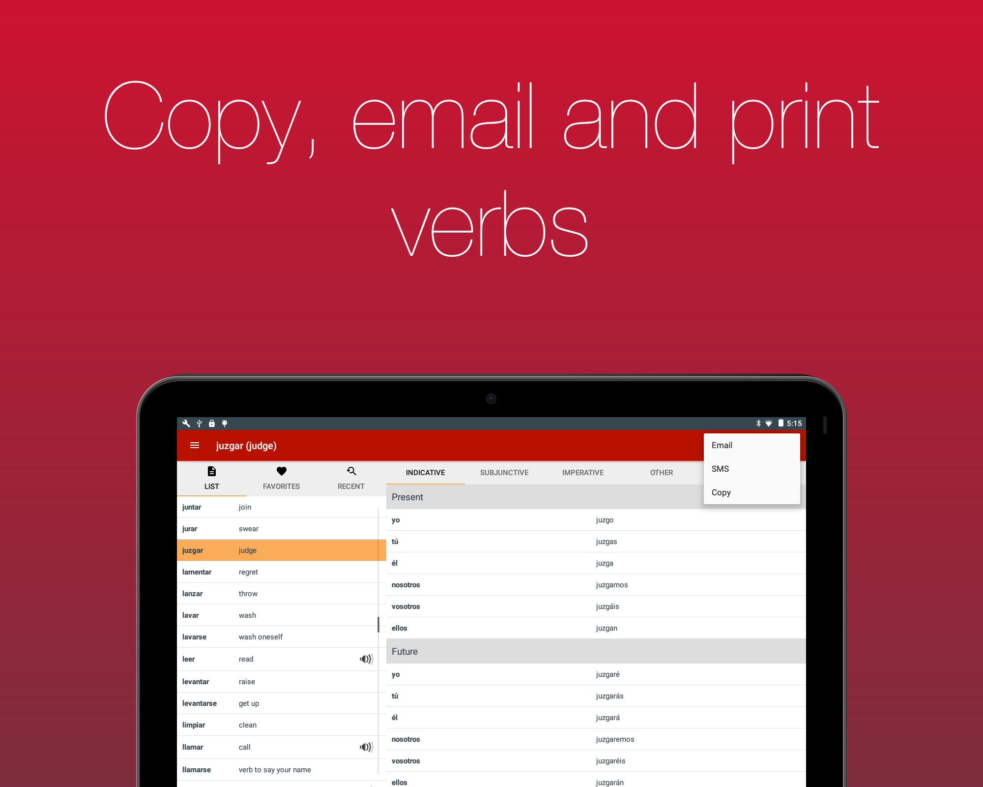 Spanish Verb Conjugator Screenshot16
