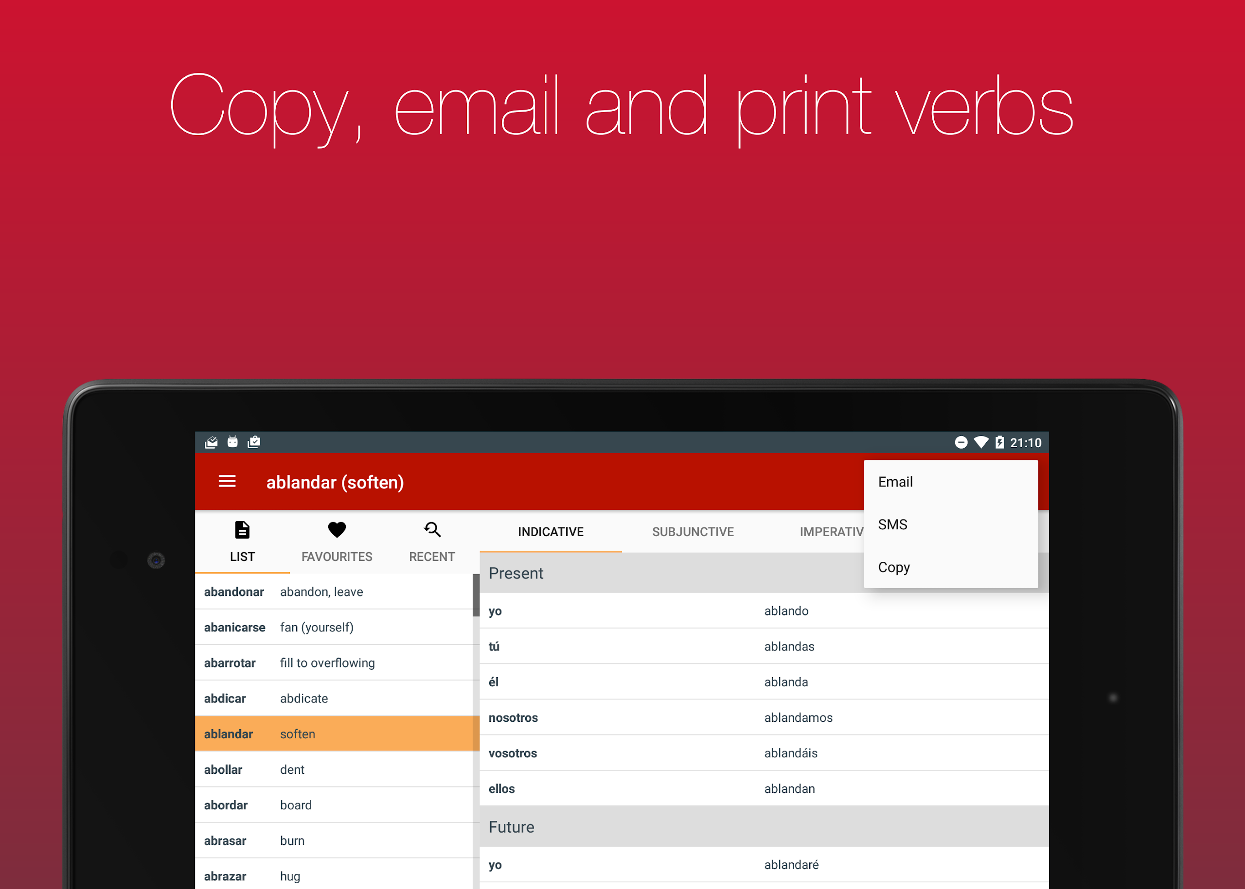 Spanish Verb Conjugator Screenshot10