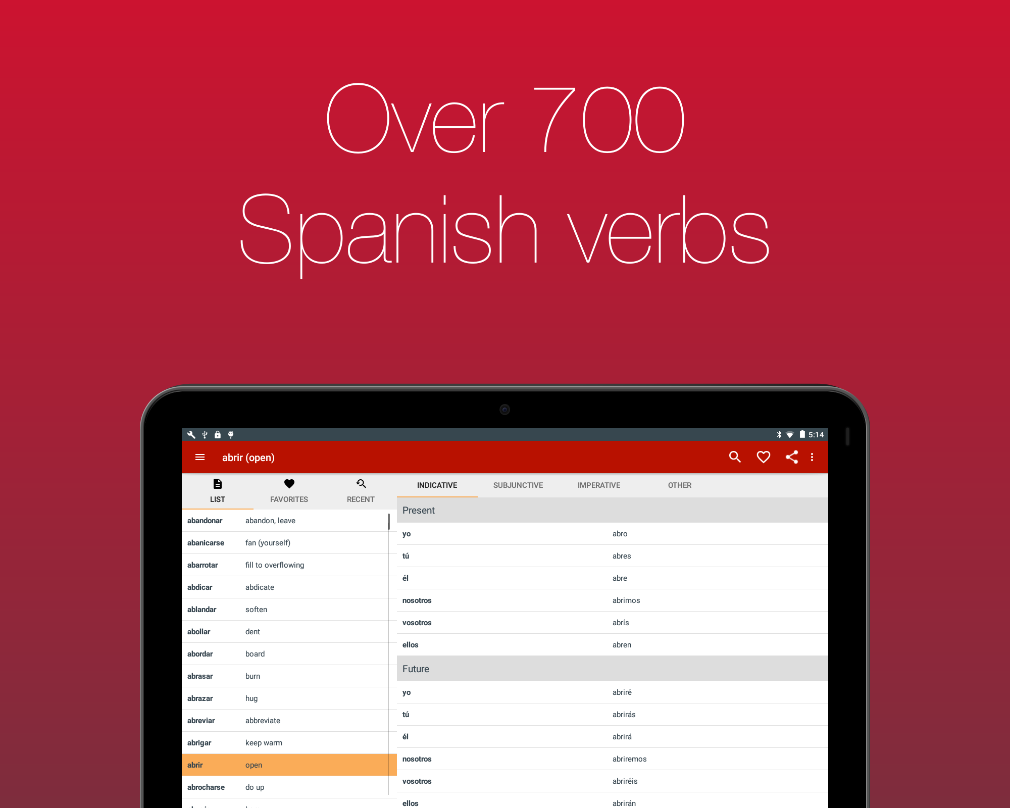 Spanish Verb Conjugator Screenshot13
