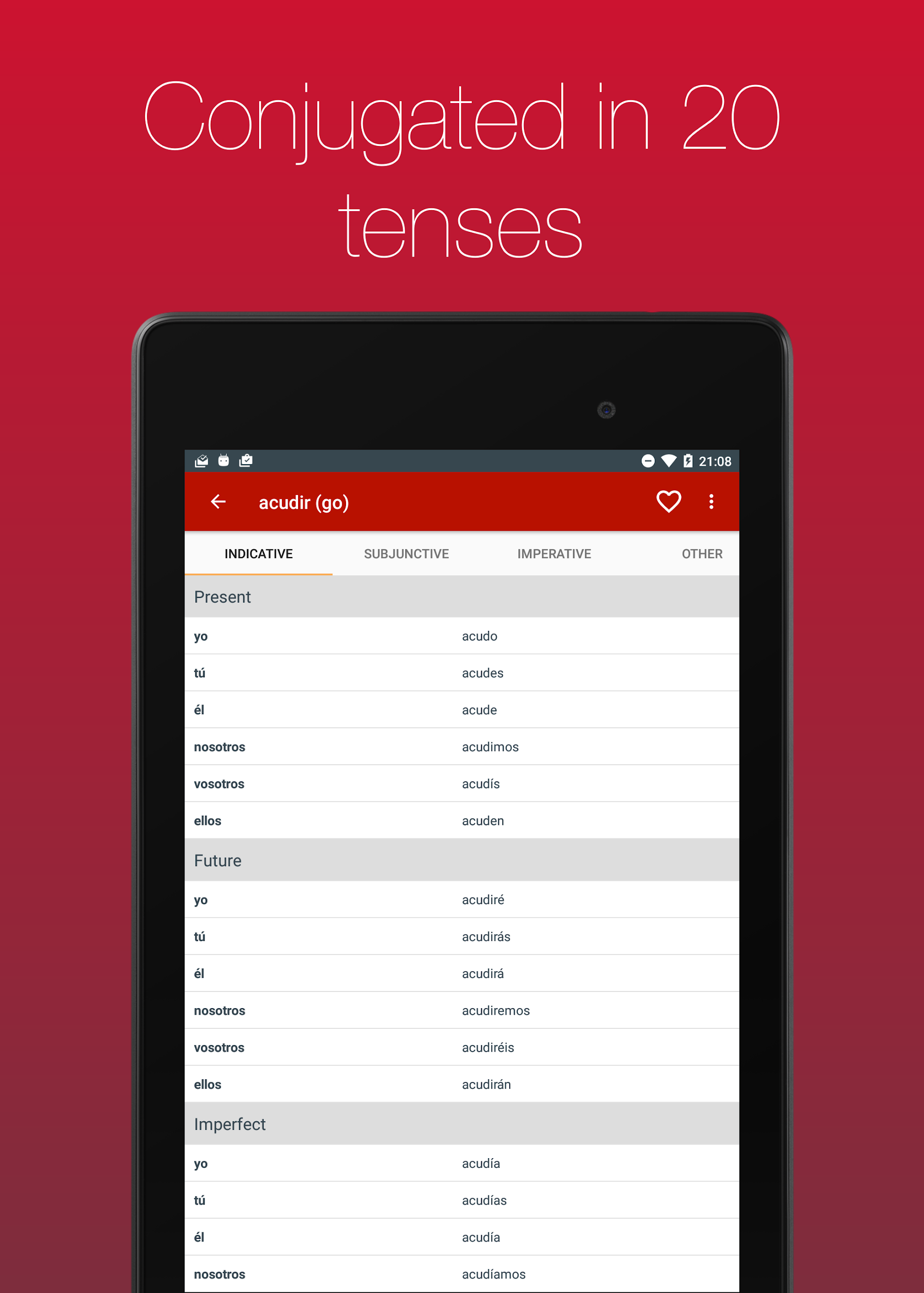 Spanish Verb Conjugator Screenshot9