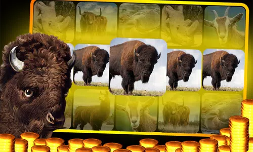Buffalo Slot Machine Screenshot1