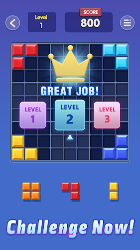 Block Master:Block Puzzle Game Screenshot1