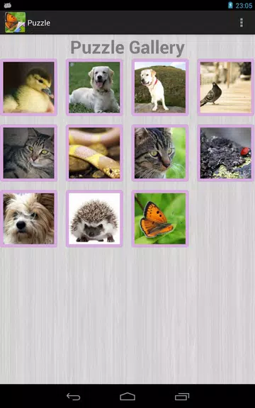 Nature Jigsaw Puzzles Screenshot2