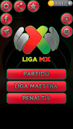 USA Soccer League Screenshot1