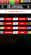 USA Soccer League Screenshot7