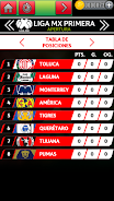 USA Soccer League Screenshot6